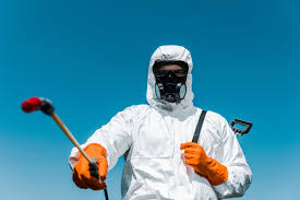 Best Termite Inspection and Treatment  in Hoer, OK